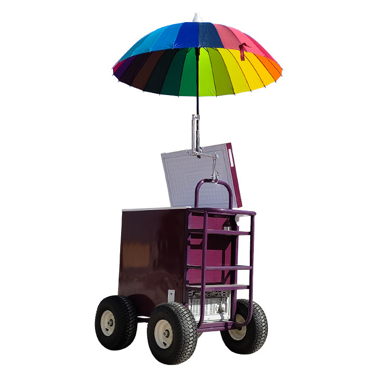 Carrito de comida de mano para venta callejera 830*650*2200mm Tamaño 220v/110v Voltagem