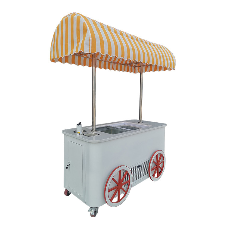 Carritos de calle personalizados con refrigerador de comida Carrito de empuje Nueva tienda Parque del mercado Carro de helados